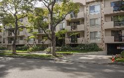 beverly-palm-west-23884