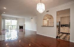 beverly-palm-west-23889