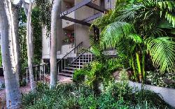 bonita-evergreen-14724
