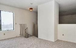 bonita-evergreen-14730