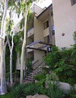 bonita-evergreen-14739