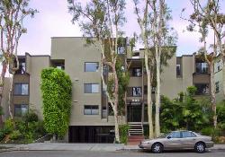 bonita-evergreen-14745