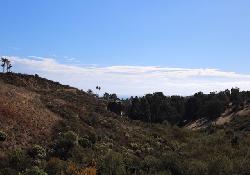 bonsall-drive-50859