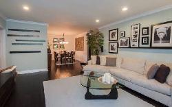 brentwood-cedar-tree-25878