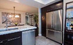 brentwood-cedar-tree-25882