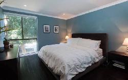 brentwood-cedar-tree-25883