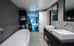 brentwood-cedar-tree-25885