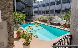 brentwood-cedar-tree-25888