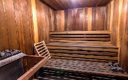 brentwood-cedar-tree-25891