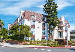 brentwood-pinetree-50976