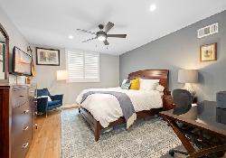 brentwood-pinetree-50978