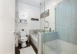 brentwood-pinetree-50980