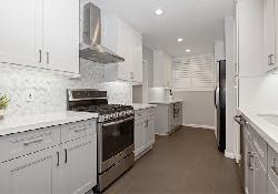 brentwood-pinetree-50981