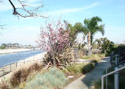 bridgeway-mills-21047