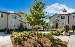 brighton-van-nuys-48425