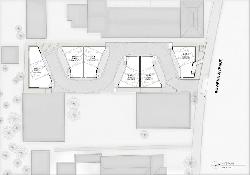 buzz-court-38555