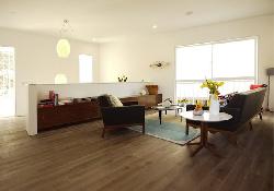 buzz-court-38558