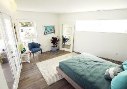 buzz-court-38561