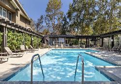 california-rose-court-48946