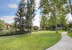 california-rose-court-48947