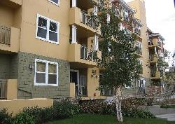 carlton-plaza-11427