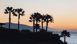 cavalleri-malibu-21615