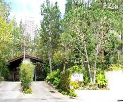 century-woods-5592