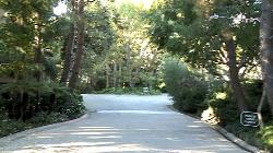 century-woods-5594