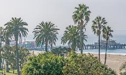 chelsea-santa-monica-22750