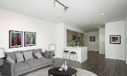 chelsea-santa-monica-22751