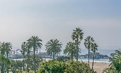 chelsea-santa-monica-22761