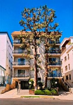 chenault-towers-15917