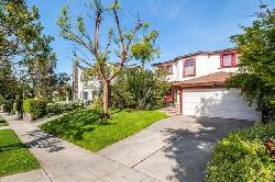 cheviot-knolls-52479