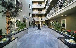 citron-modern-living-13157