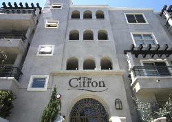 citron-the-9939