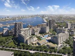 clearpoint-rashid-dubai-49722