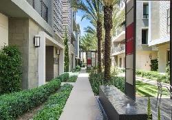 cleo-at-playa-vista-52948