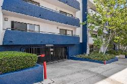 club-california-52509