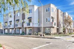 collintine-modern-homes-43069