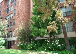 colony-at-westwood-the-7423