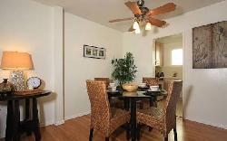courtyard-gardens-37754