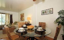 courtyard-gardens-37755
