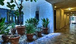 courtyard-on-camden-the-16493
