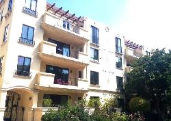 courtyard-on-camden-the-16501