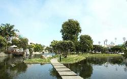 del-rey-colony-11858