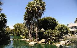 del-rey-colony-11859