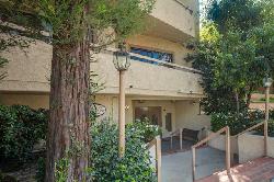 dickens-contemporary-46166