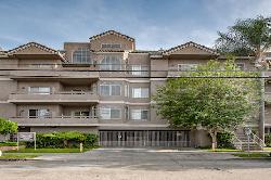 dickens-oaks-51591