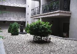 doheny-park-terrace-14794
