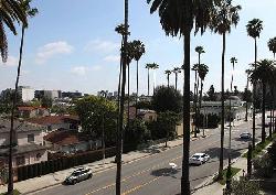 doheny-park-terrace-14803